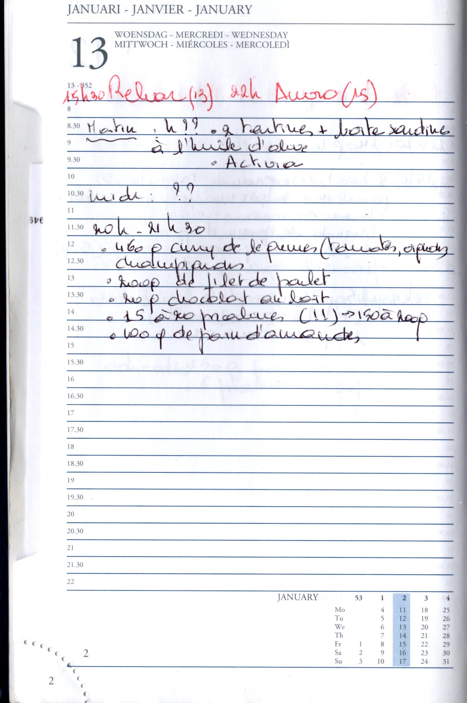 Daily Planner Scan