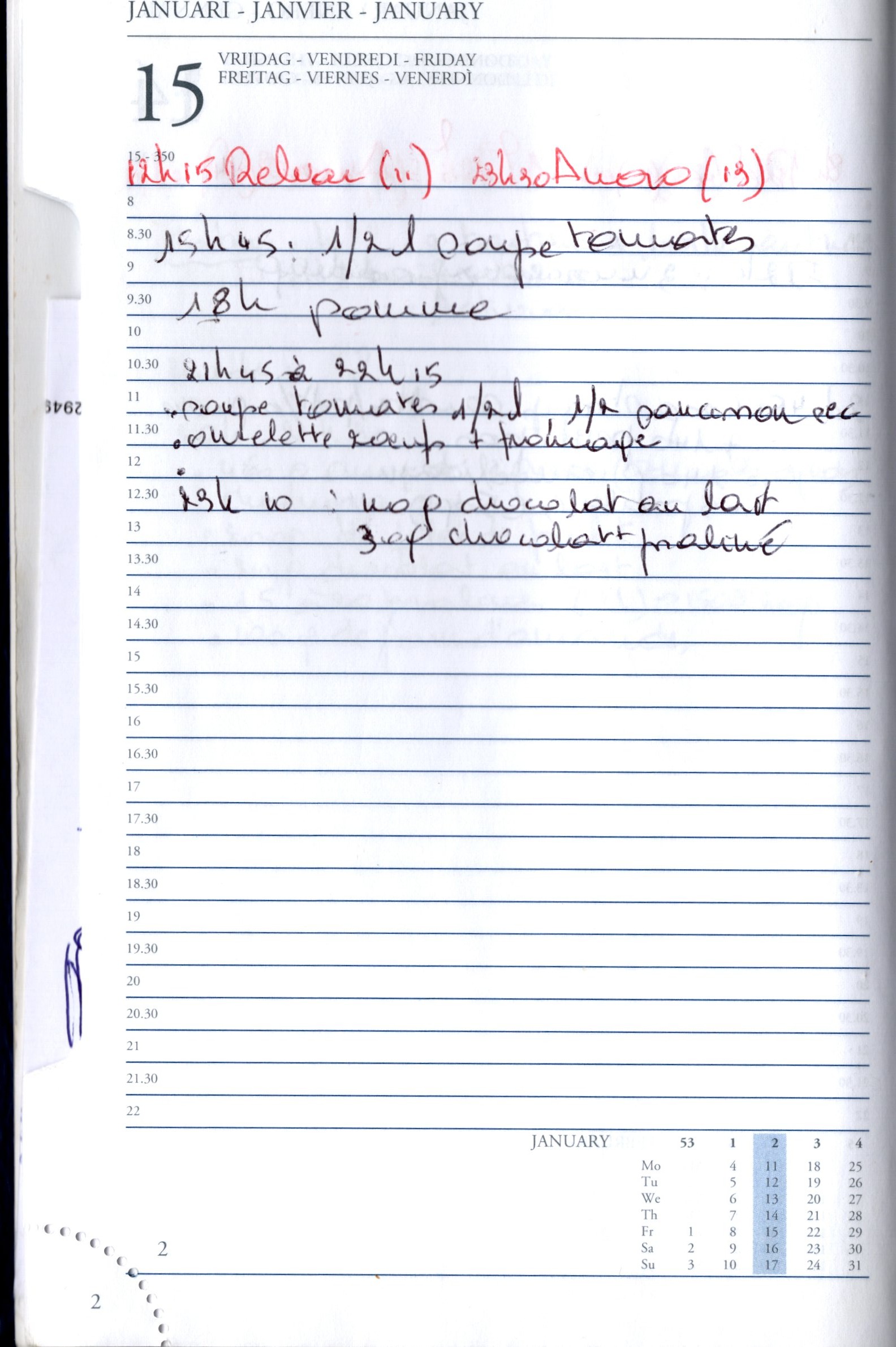 Daily Planner Scan