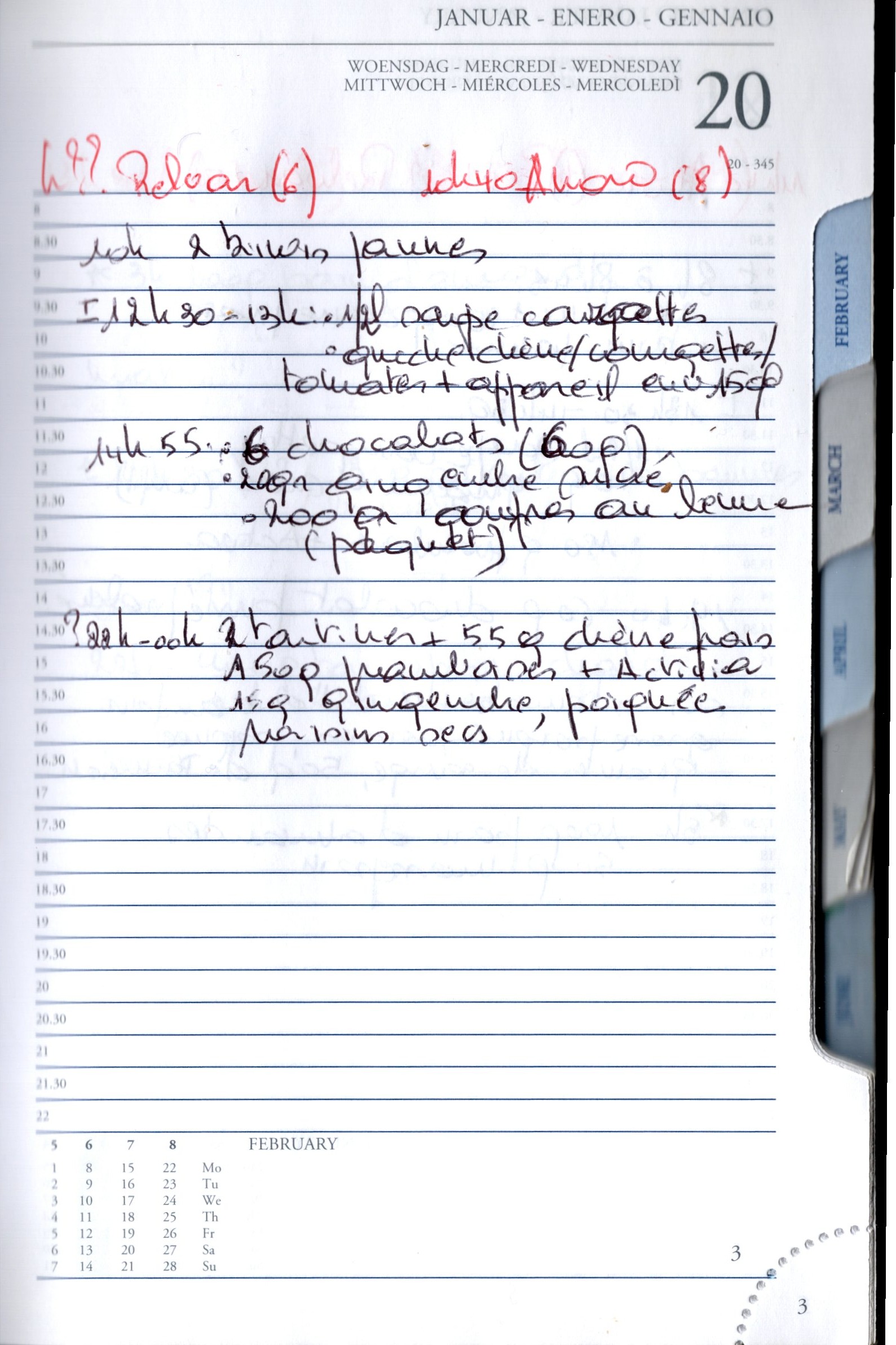 Daily Planner Scan