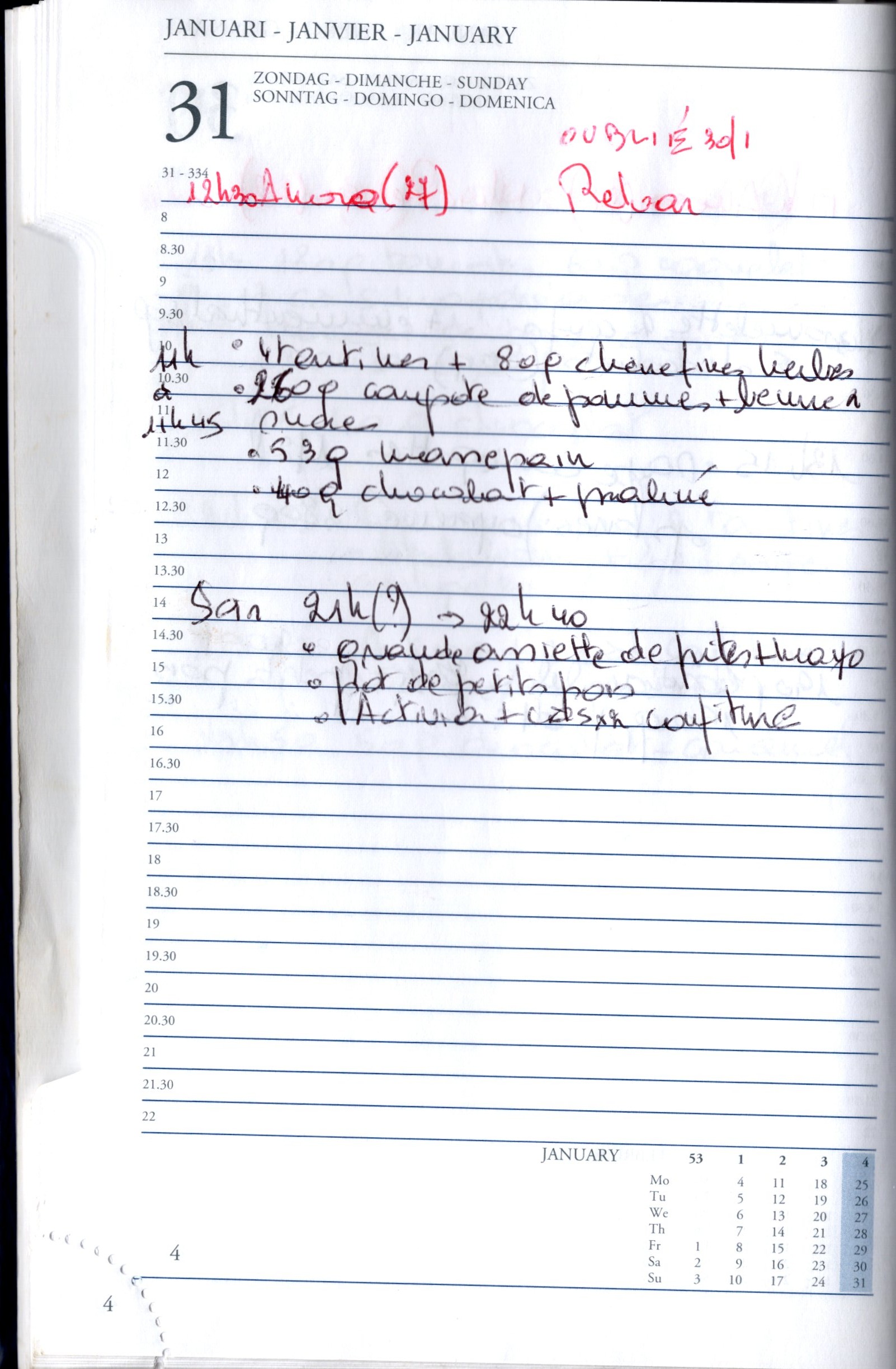 Daily Planner Scan