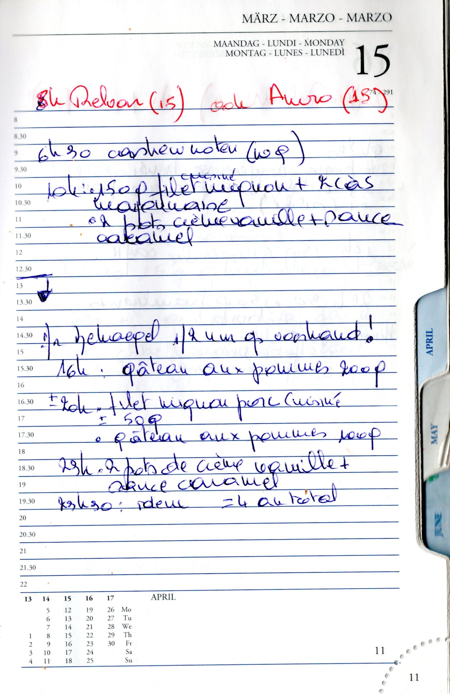 Daily Planner Scan