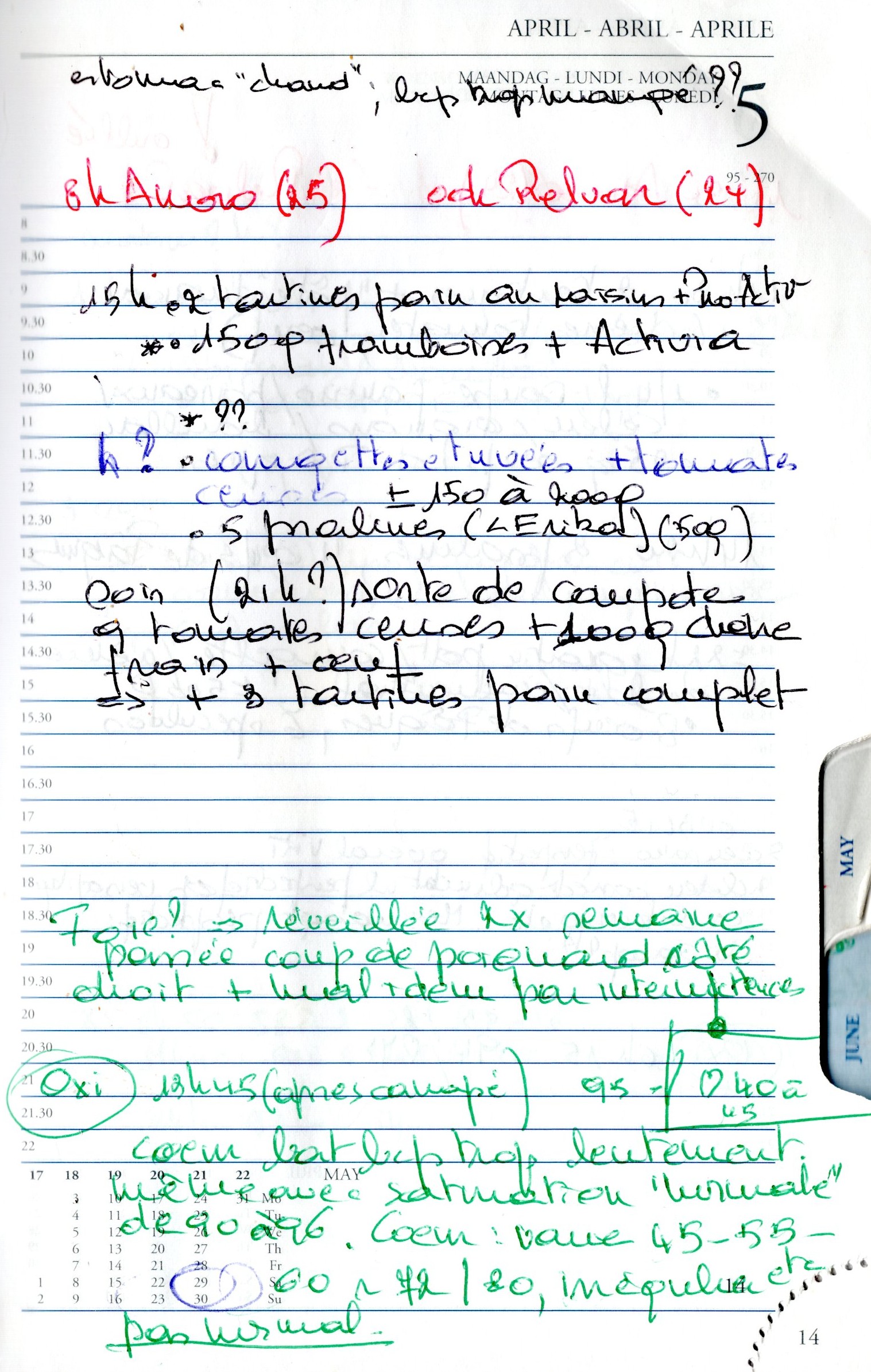 Daily Planner Scan