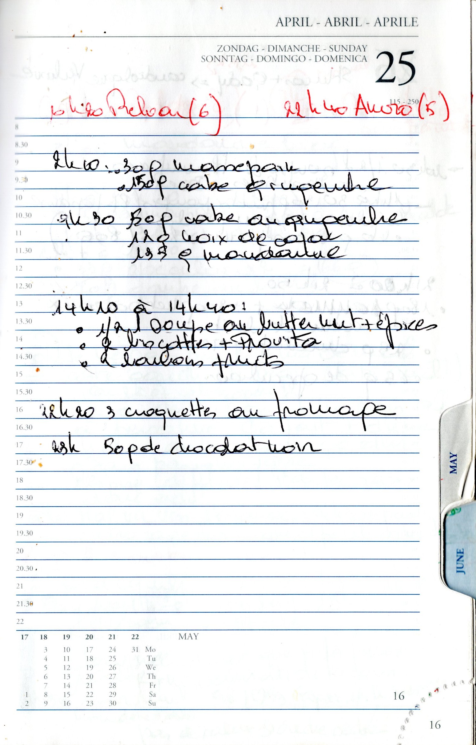 Daily Planner Scan