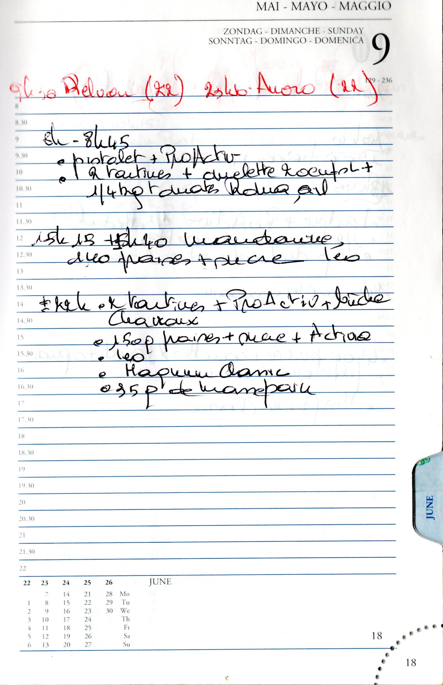 Daily Planner Scan