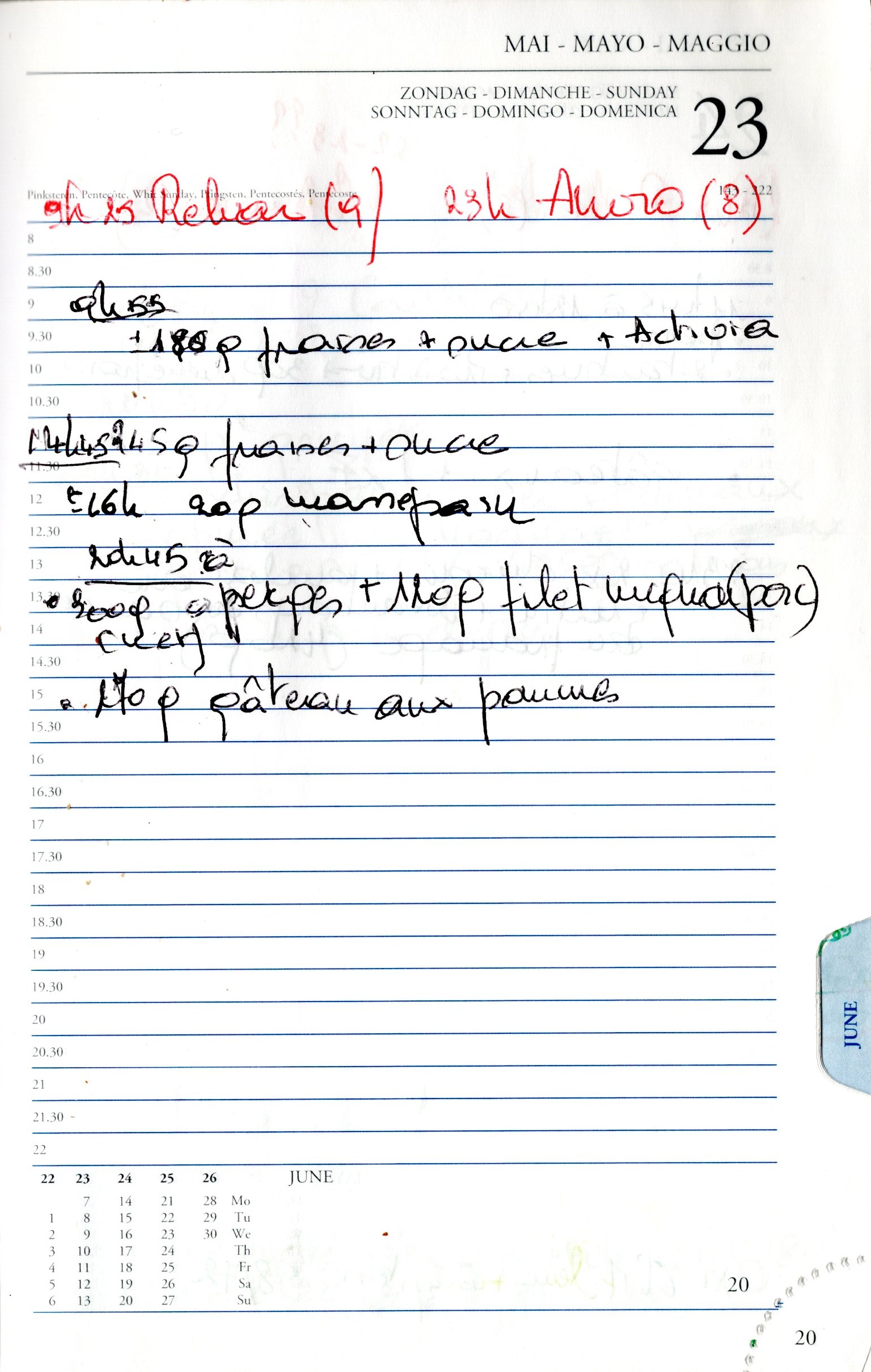 Daily Planner Scan