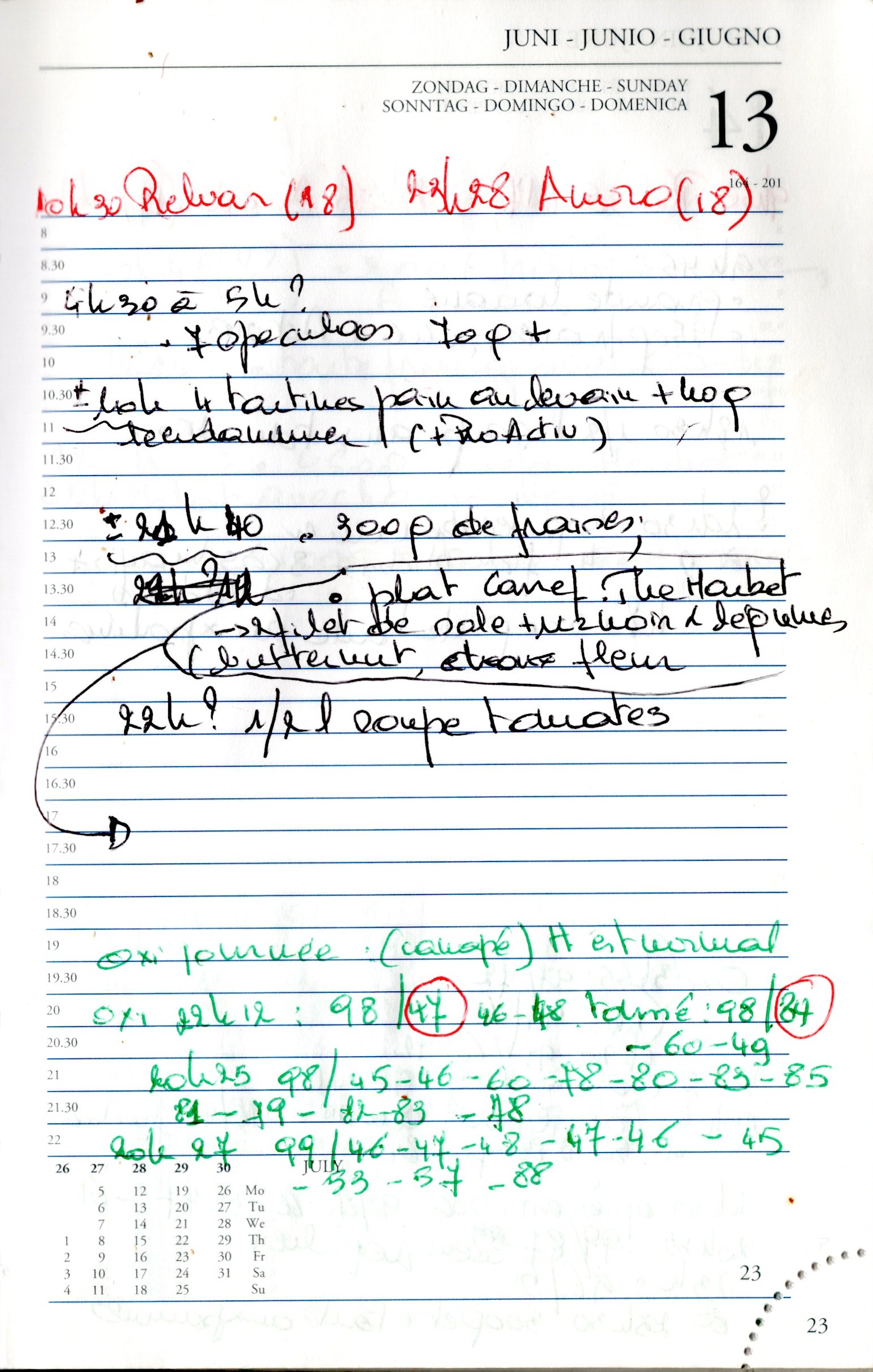 Daily Planner Scan