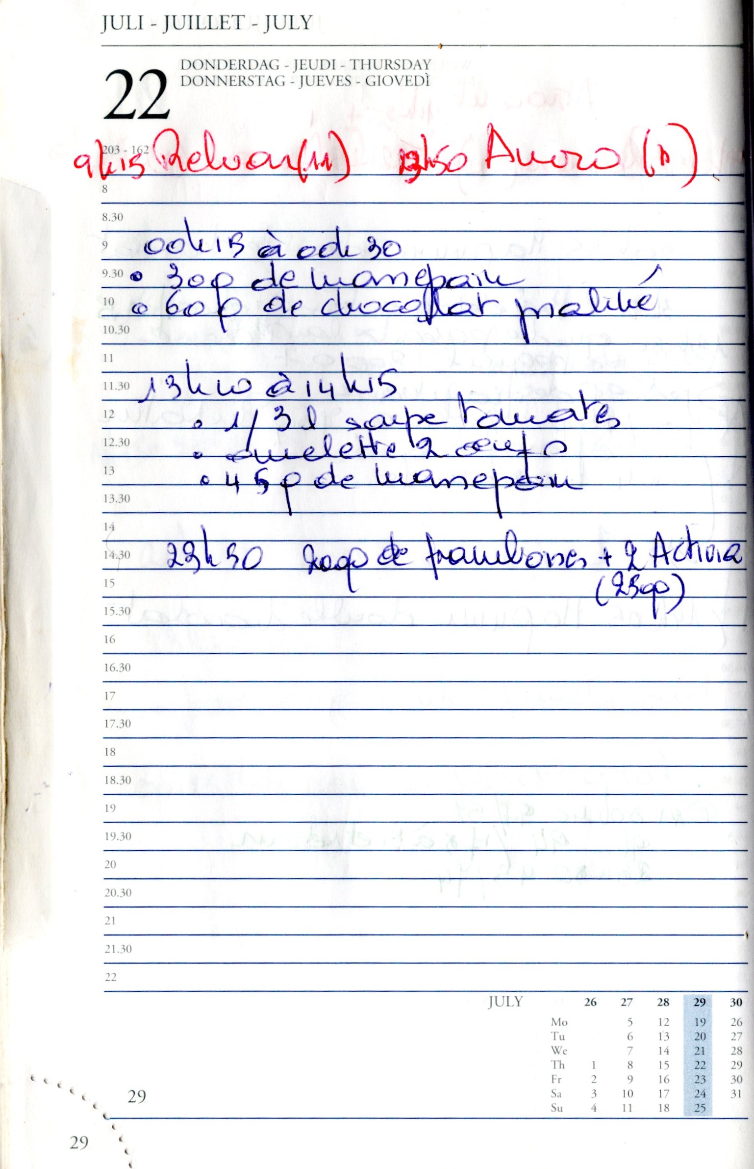 Daily Planner Scan