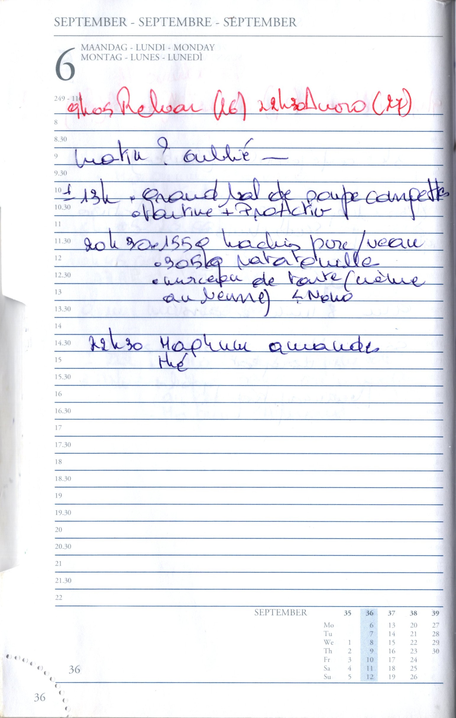 Daily Planner Scan