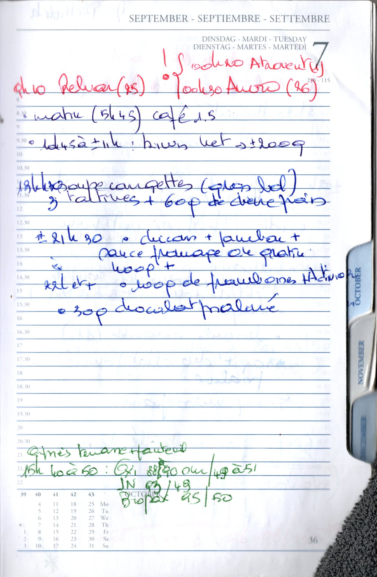 Daily Planner Scan