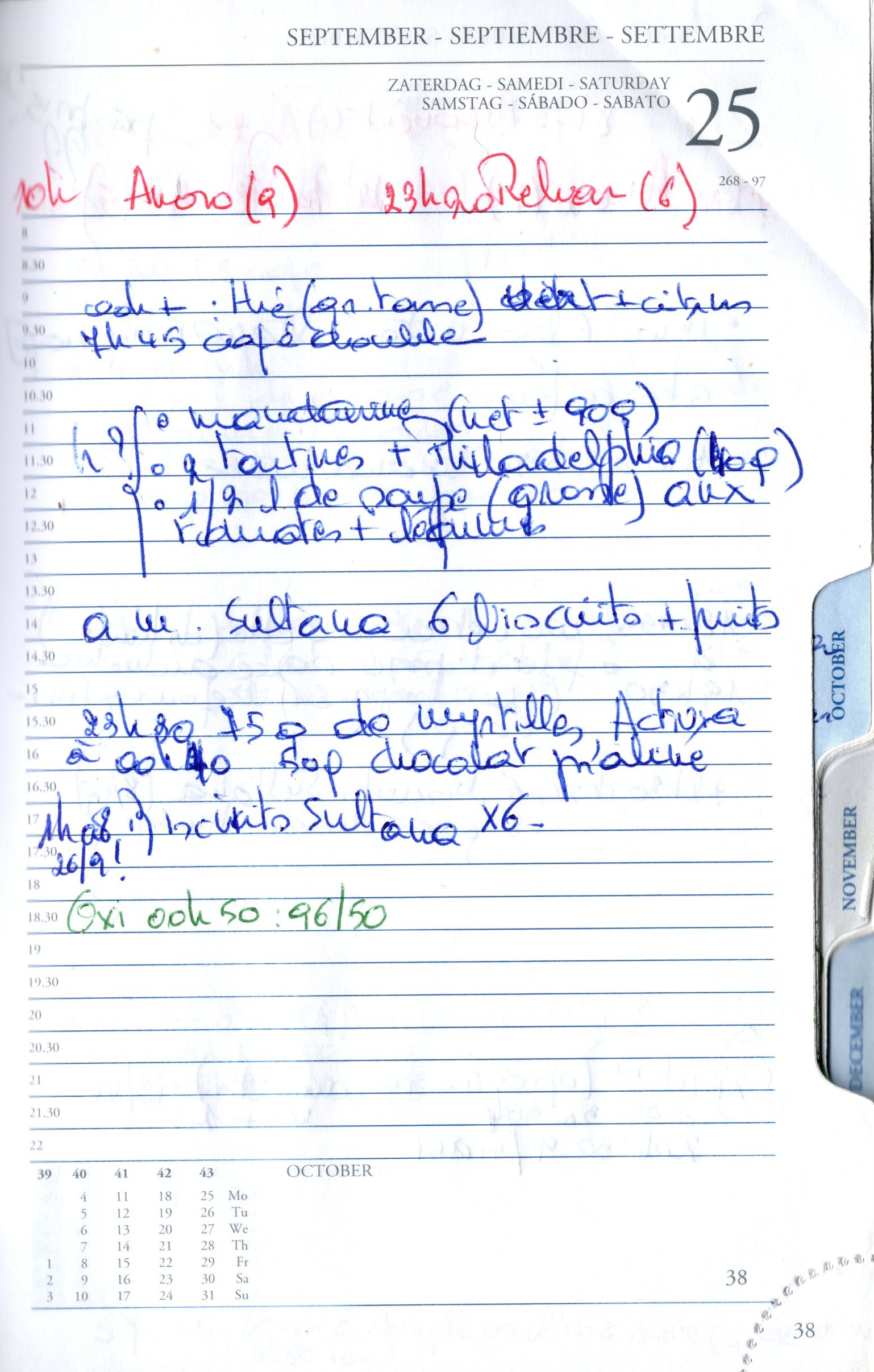 Daily Planner Scan