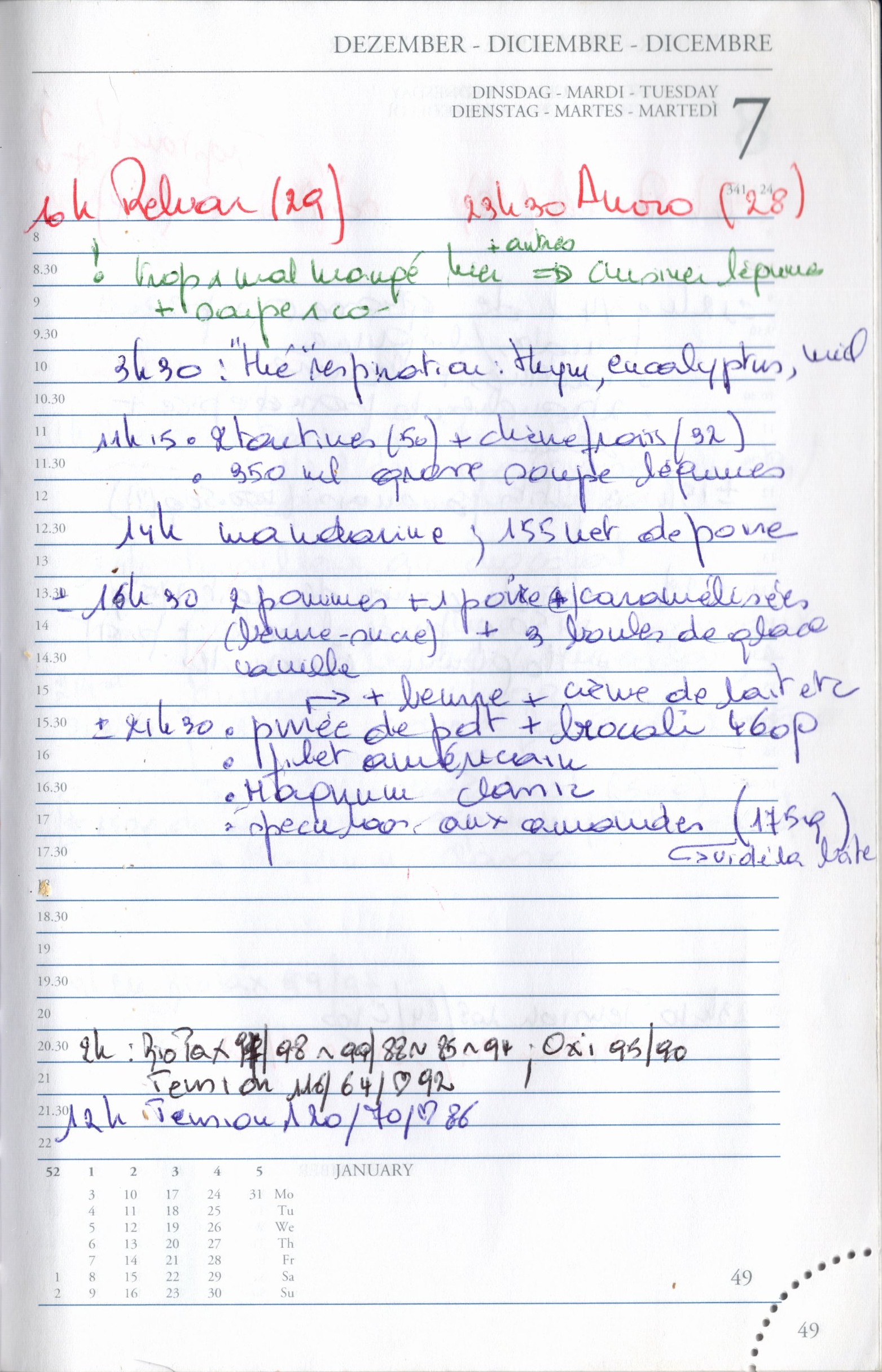 Daily Planner Scan