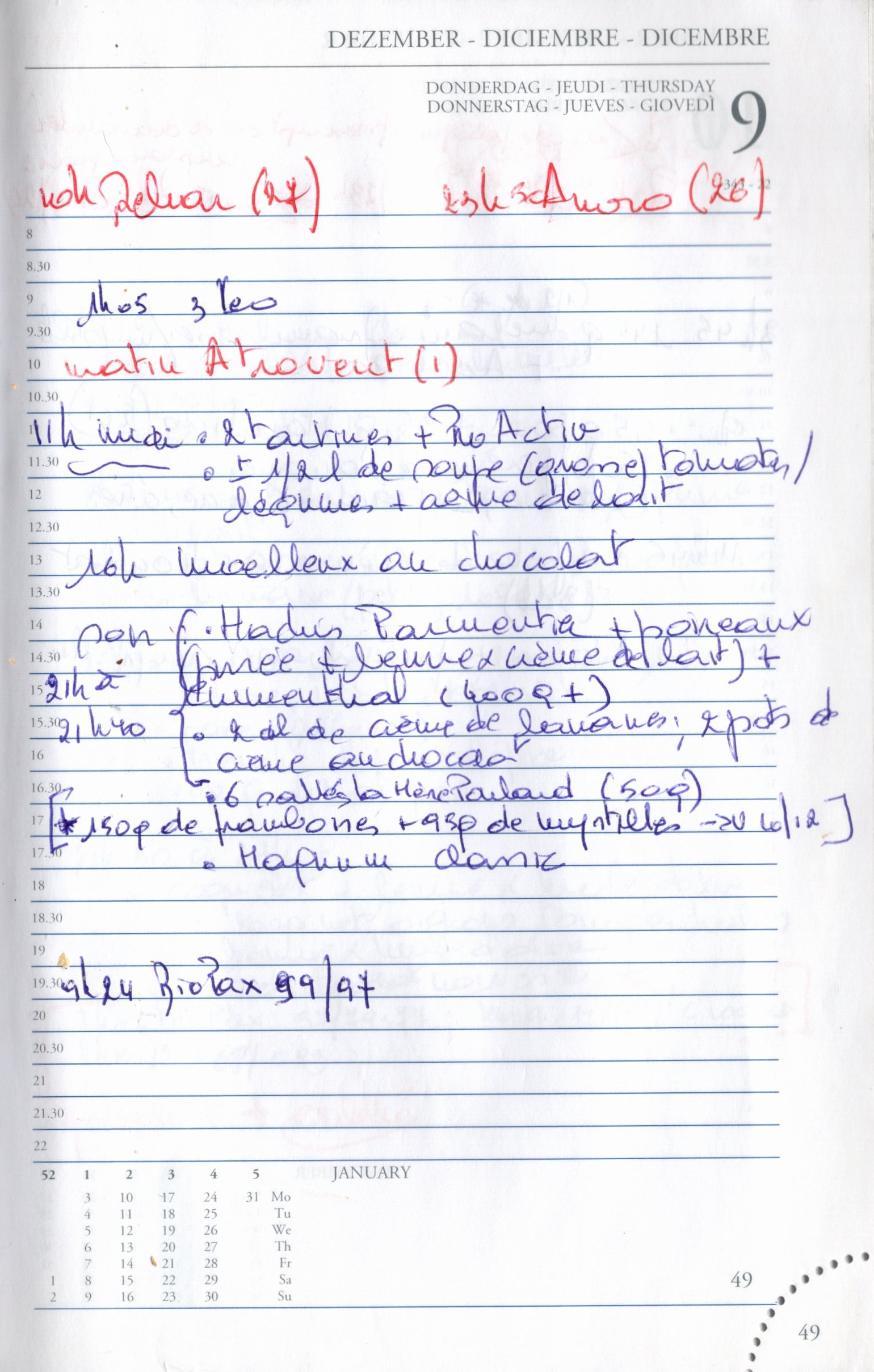 Daily Planner Scan