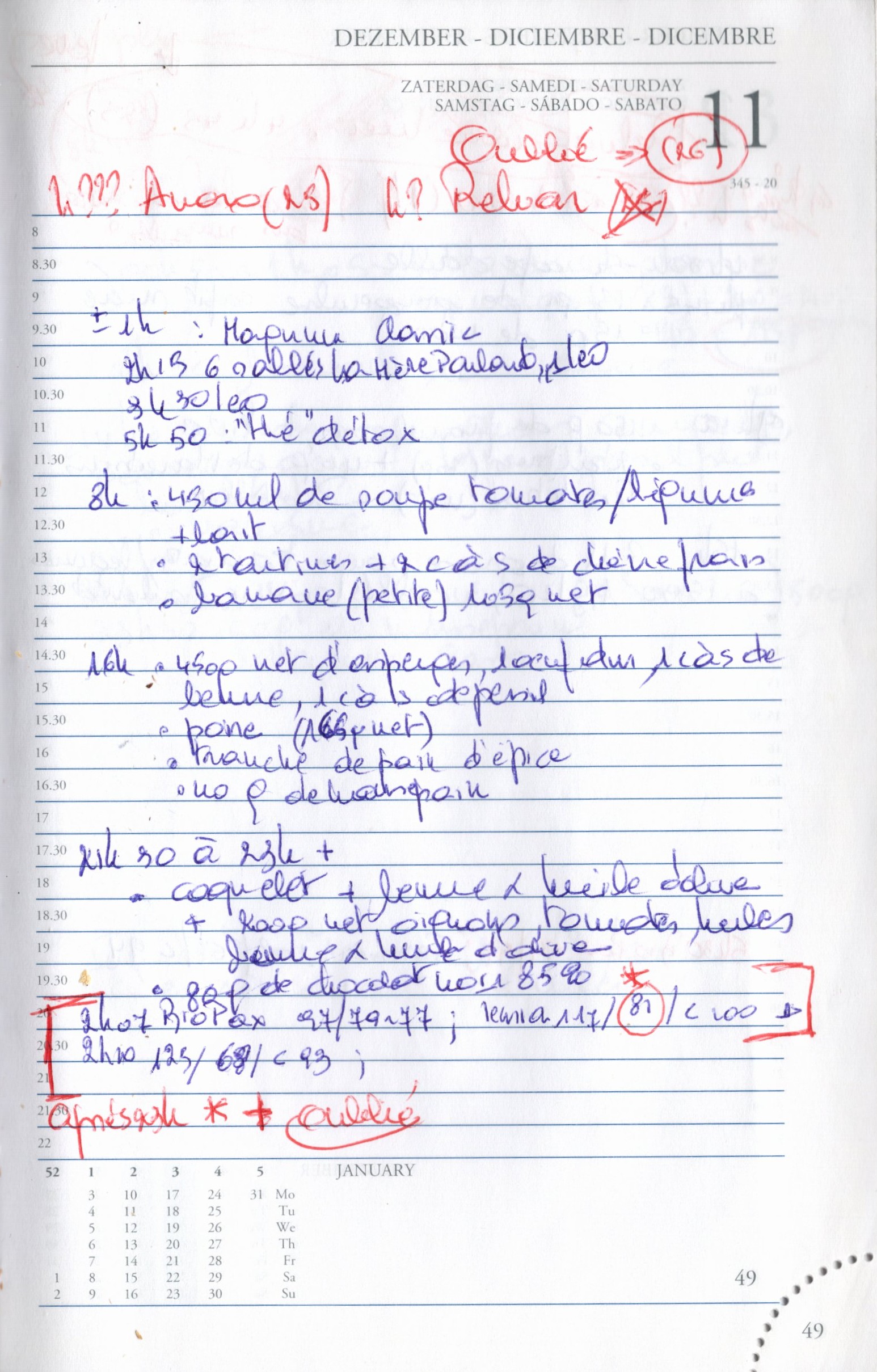 Daily Planner Scan