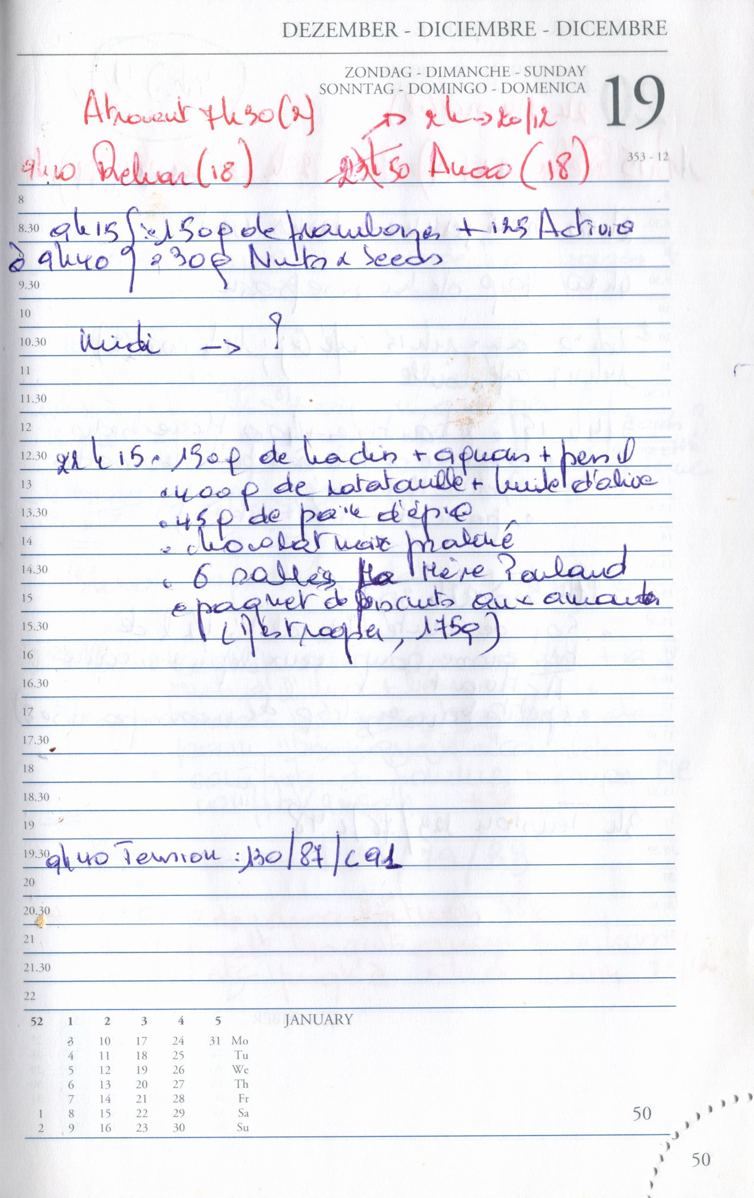 Daily Planner Scan
