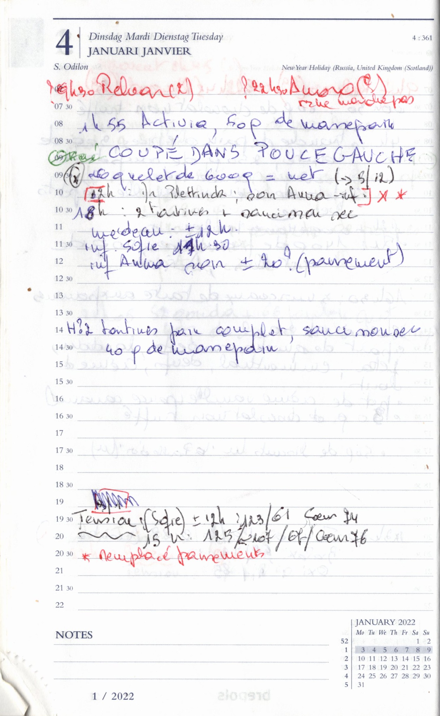 Daily Planner Scan