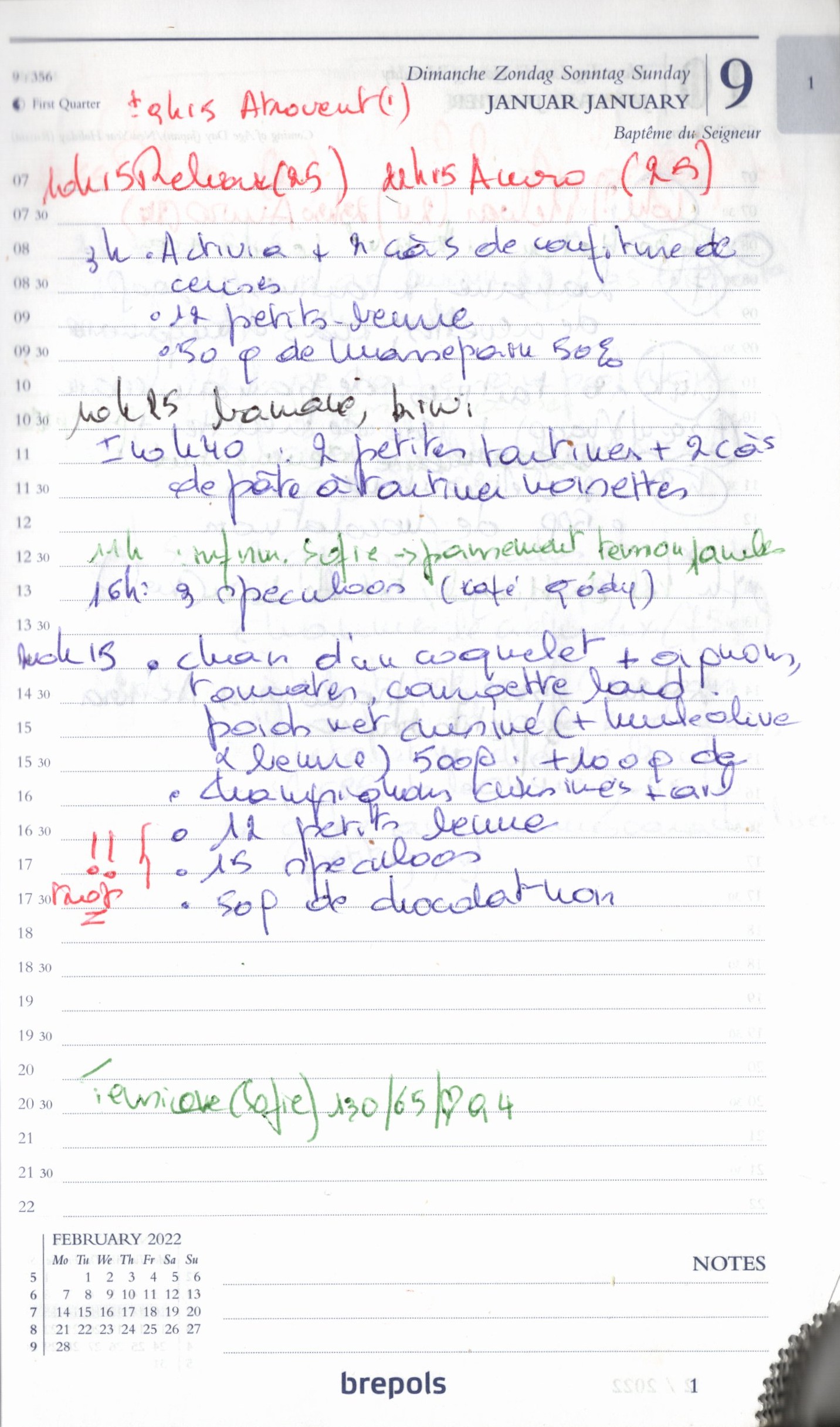 Daily Planner Scan