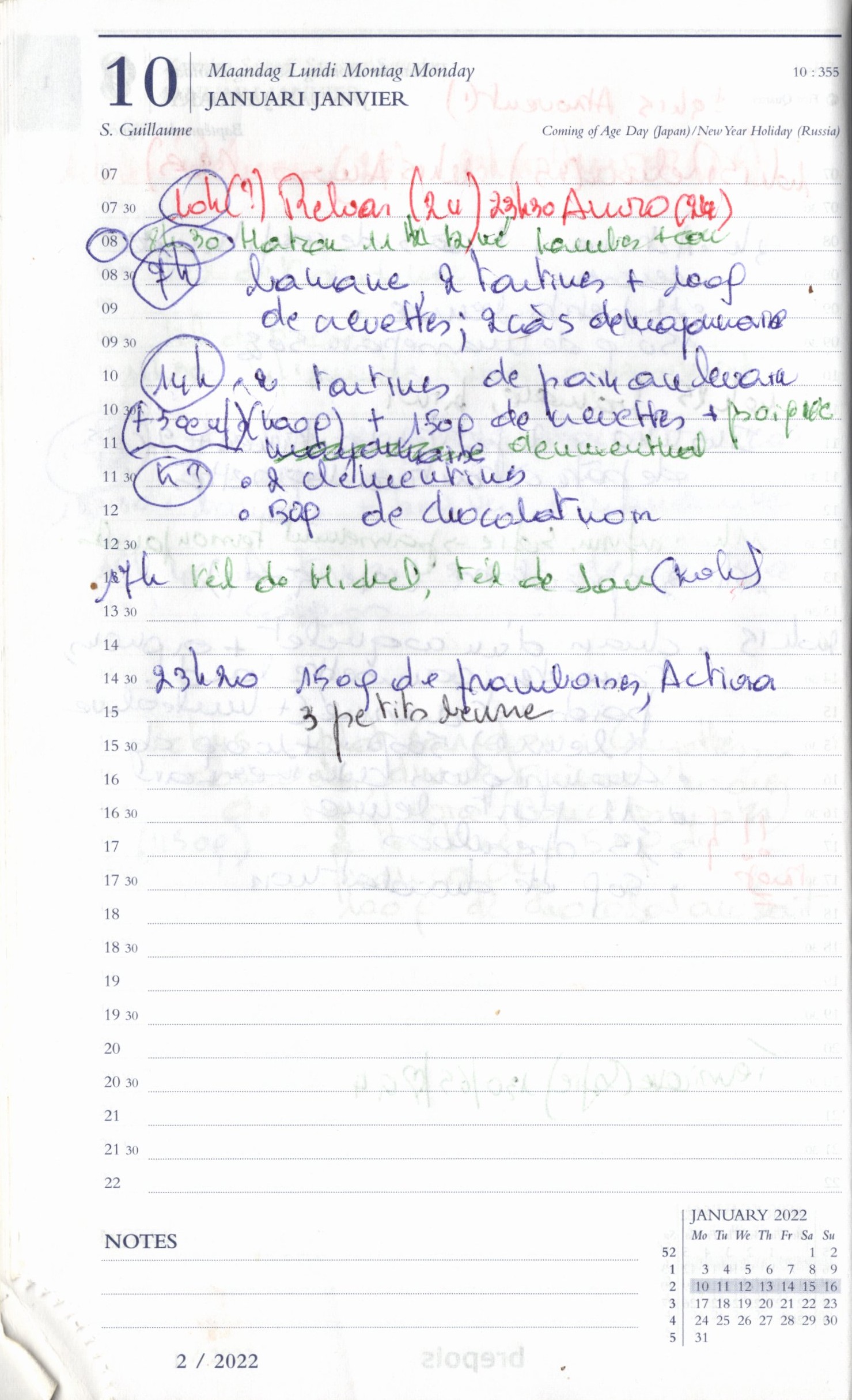 Daily Planner Scan
