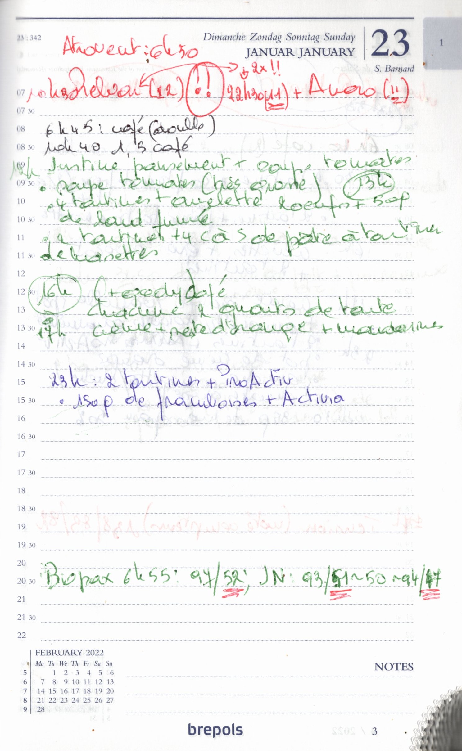 Daily Planner Scan