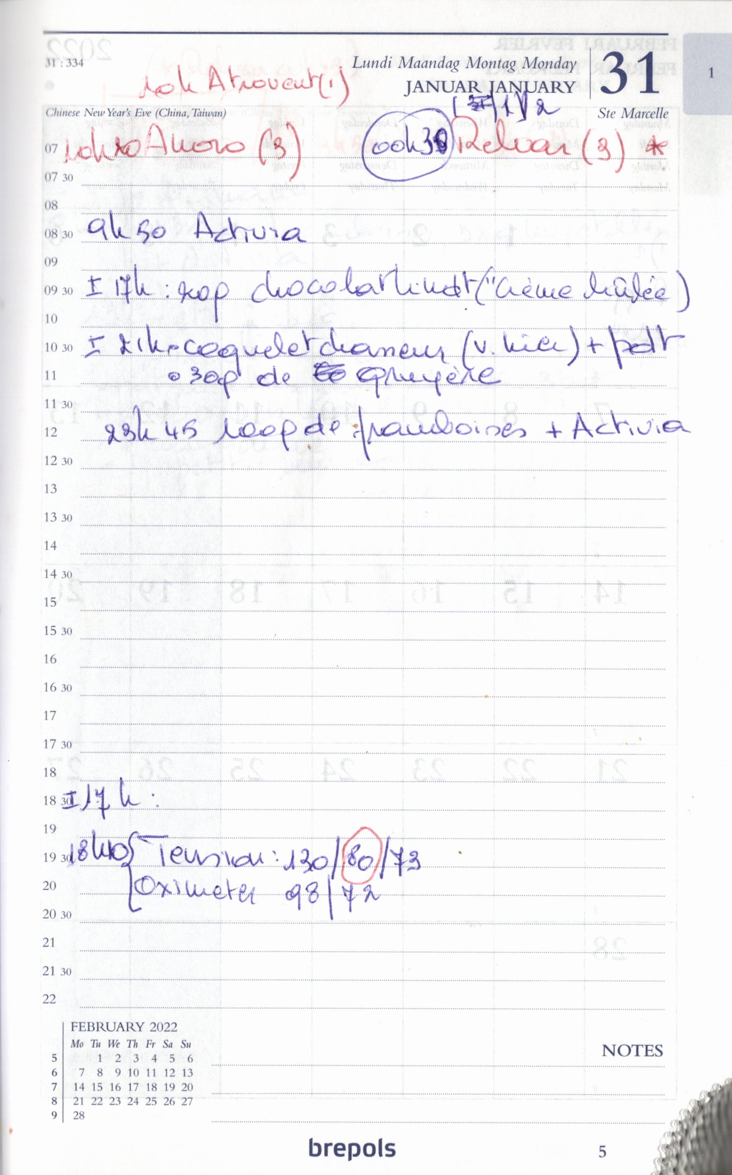 Daily Planner Scan